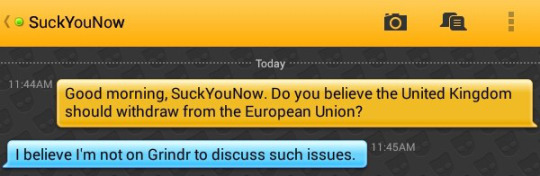 Grindr Brexit 11