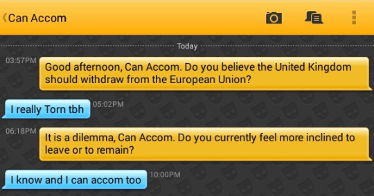 Grindr Brexit 15