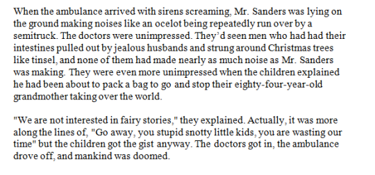 Eight-Year-Old's Novel 4