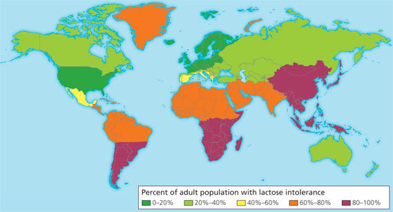 Lactose Intolerance Map