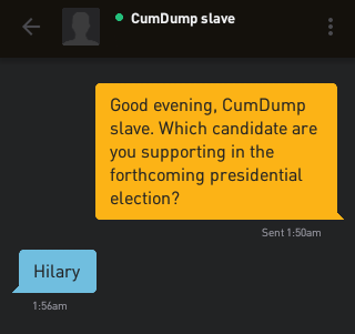 Grindr 2016 Election 1