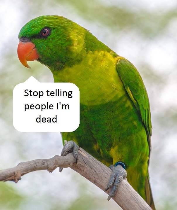 Stop Telling People I'm Dead