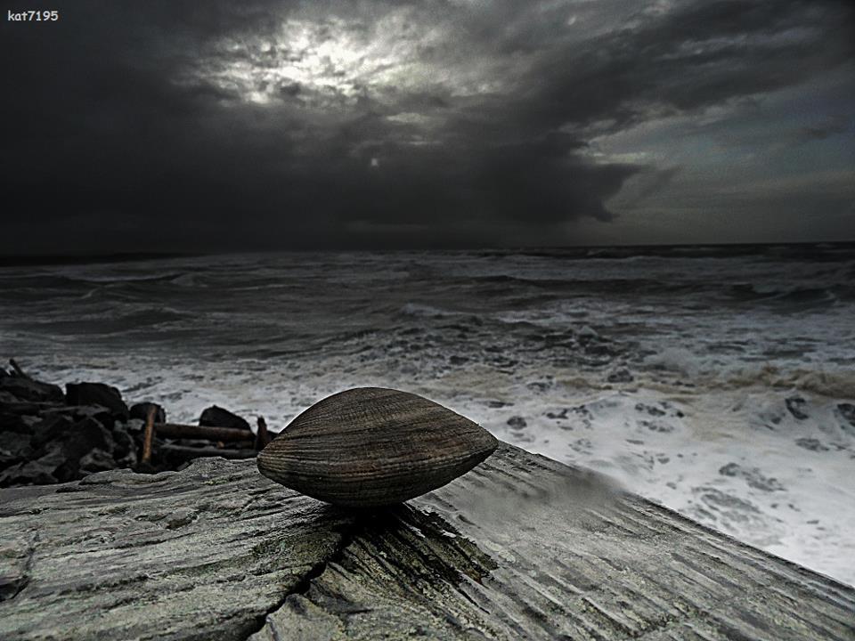 The Clam Before the Storm