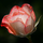 avatar_cef18504af73_40
