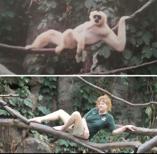 tumblr_pdv3hgaolr1qm0cig_540