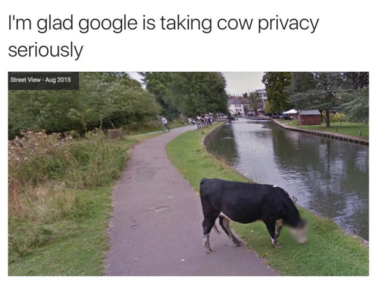 This image has an empty alt attribute; its file name is tumblr_odj48zdehx1qewacoo1_540.png