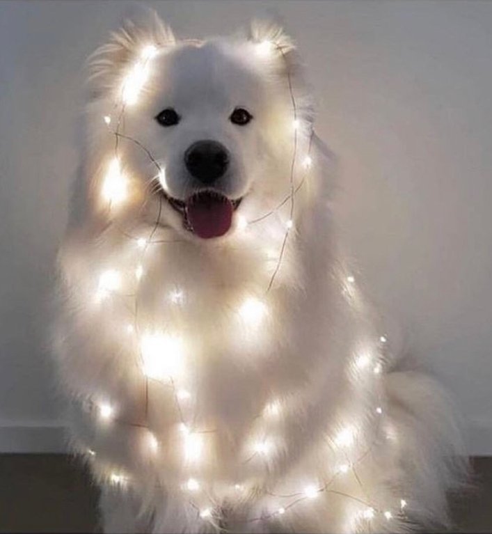 This image has an empty alt attribute; its file name is tumblr_pjgwh73t8d1r4x5j7o1_1280.jpg