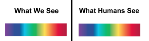 tumblr_pelvb7etjw1qebzbio1_500