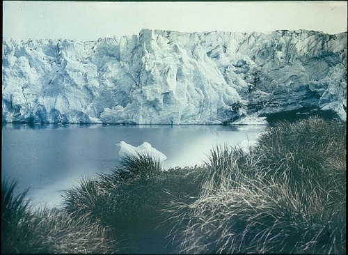 tumblr_mxwpy0xdf61qigaa4o4_500