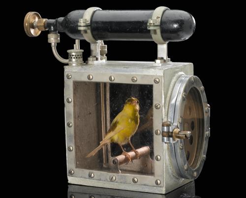 Aluminium animal air tester, as used by rescue parties in mines