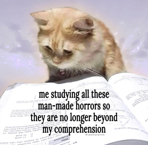 457e0c6565f0e1a31e3ce9cf78618f4102ca2584