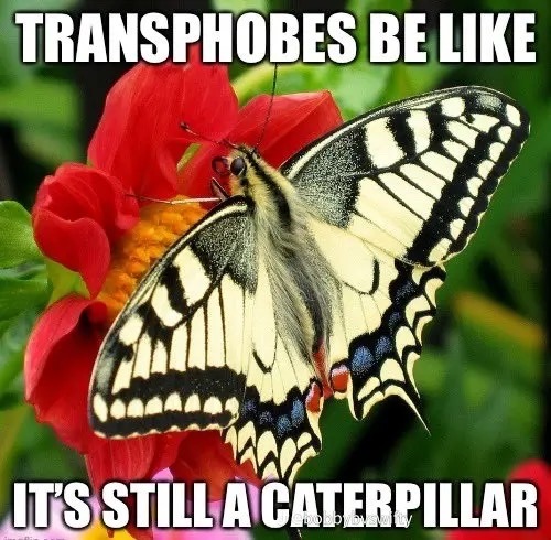 a3038c7a66ce7174563cd959925f9268a92f4cad
